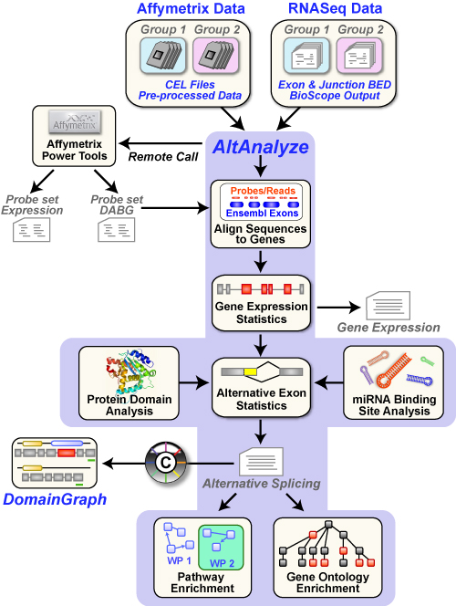 Statistical Analysis Website