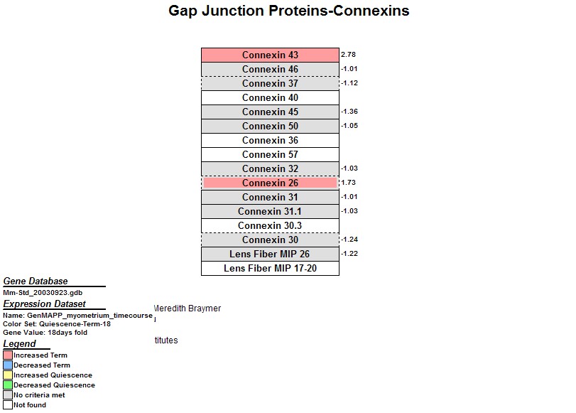 Mm_Gap_Junction_Proteins-Connexins_1.jpg