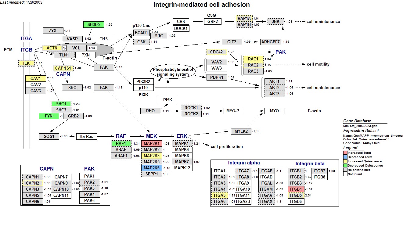 Mm_Integrin-mediated_cell_adhesion_KEGG_4.jpg