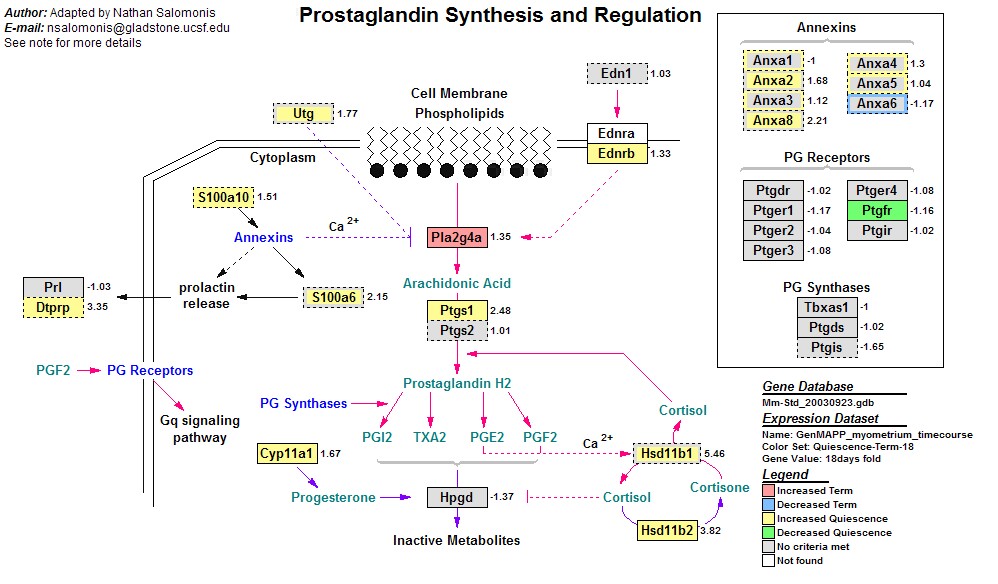 actio. of prostaglandins actio. of prostaglandins
