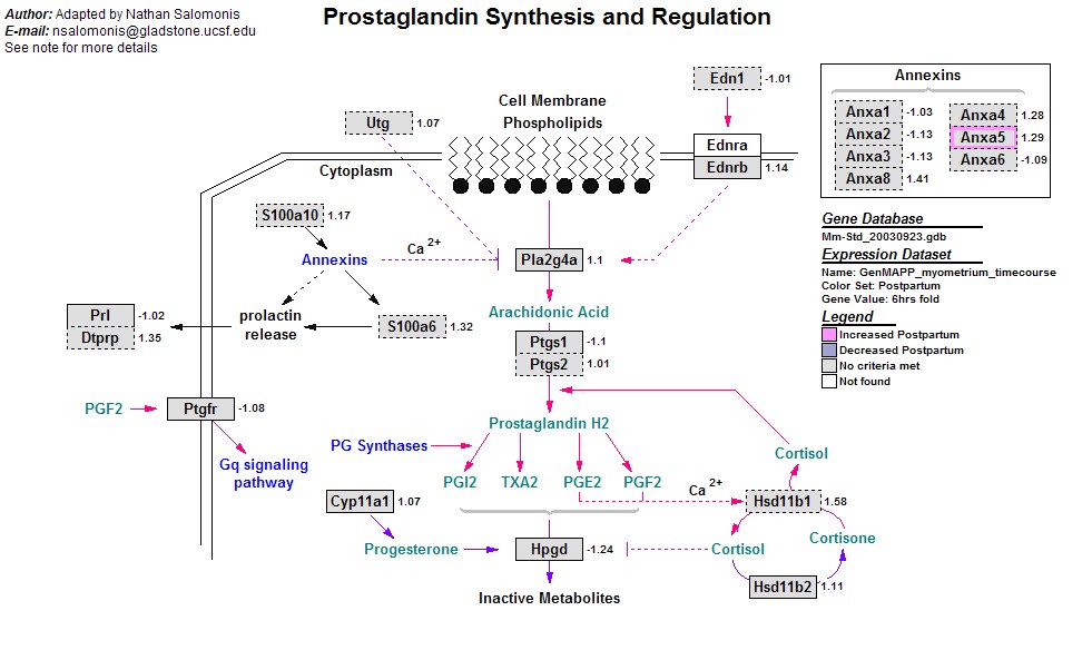 fig3a_6.jpg