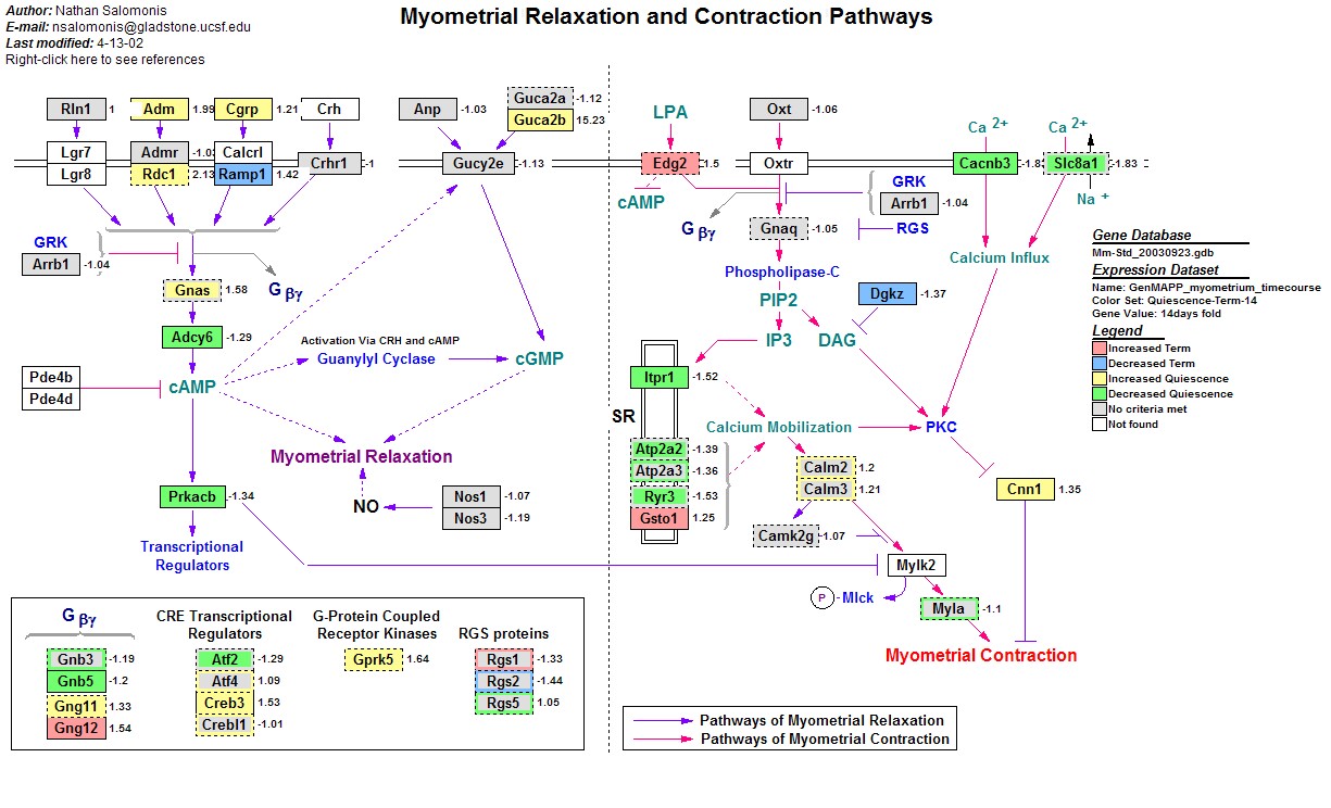 fig3b_4.jpg